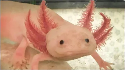 Je vous conseille les bottes en caoutchouc !