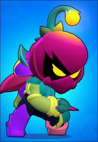 Quel est ce Brawler ?