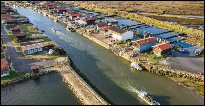 Cette ville située au sud du bassin d'Arcachon est la "capitale" ostréicole de la région :