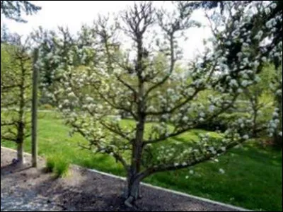 Son esprit n'est pas terrible, c'est l'...