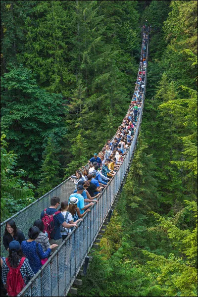 Le pont suspendu de Capilano est un pont canadien long de 140 mètres, à 70 m au-dessus du fleuve. 

Dans quelle ville est-il situé ?