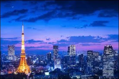 Quelle est la plus grande ville du monde en termes de population ?