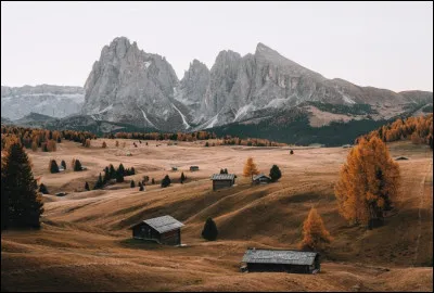 Cette image est-elle générée par intelligence artificielle ?