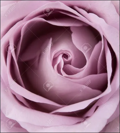 Quelle est cette couleur ?