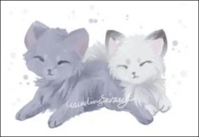 Qui Tiny est-il devenu plus tard ?