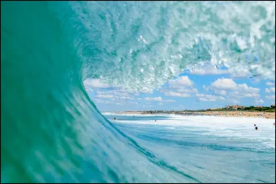 Je suis un oiseau migrateur avec un long bec et je vis souvent près des marais ou des plages. Qui suis-je ?