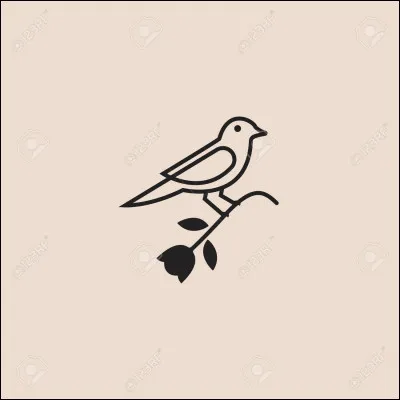 Je suis un oiseau coloré qui vit en cage et je peux imiter des sons humains. Qui suis-je ?