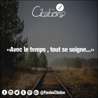 Qui chantait "Avec le temps" ?