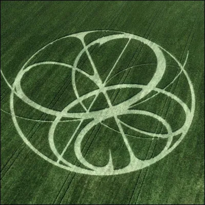 Quel est votre type de film préféré ?