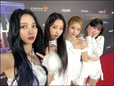 Quelle est votre qualité principale ?