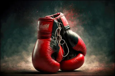 Quel type de boxe est nommée la savate ?