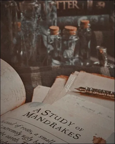 Legilimancie ? Occlumancie ? Qui es-tu ?