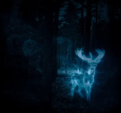 Quel est ton patronus ?