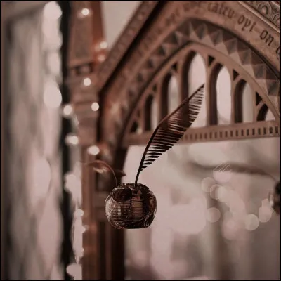 Au quidditch, tu es :