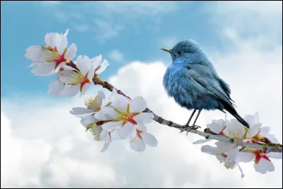 Choisis un de ces paysages.