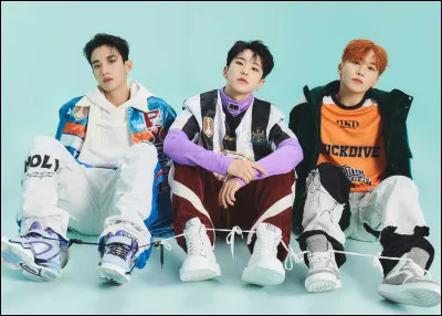 Y aurait-il plusieurs leaders dans ton groupe ?