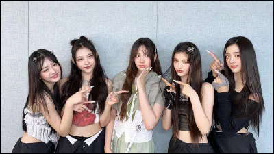 Lequel préfères-tu ?