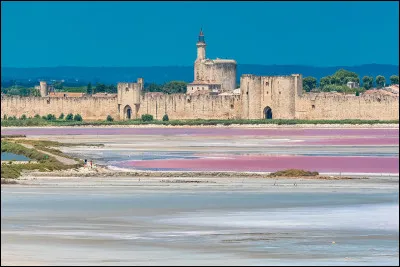 Quelle est cette commune fortifiée de France du Gard, connue pour ses salins ?