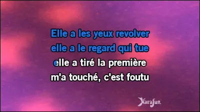 Qui interprète le titre "Elle a les yeux revolver" ?