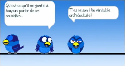 Si vous recevez le diplôme "d'orchidoclaste" c'est que vous êtes...