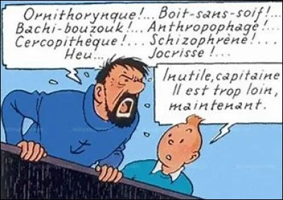 Le capitaine aurait adoré, mais qu'est-ce qu'un "alburostre" ?