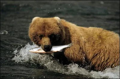 Si vous vous faites traiter de "bélitre" c'est que l'on vous accuse d'être un...