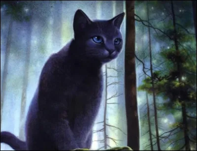 Comment ses chatons s'appellent-ils ?