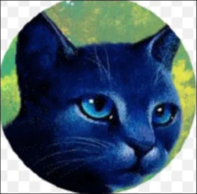 Comment est-elle morte ?