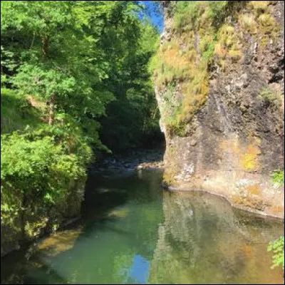Quel est ce cours d'eau, long de 40 km qui prend sa source au cirque de Mandailles dans les monts du Cantal et coule vers le sud-ouest pour se jeter dans la Cère ?