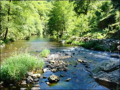 Quelle est cette rivière, longue de 92 km, qui prend sa source vers 1 430 mètres daltitude dans les monts du Cantal et coule vers l'ouest pour rejoindre la Dordogne ?