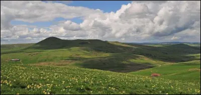 Quel est ce plateau plateau volcanique situé dans le nord du département, entre les monts Dore et les monts du Cantal ?