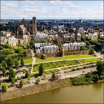 Quelle pr&eacute;paration de porc, qui peut aussi &ecirc;tre de canard, de lapin ou d�oie, a &eacute;t&eacute; popularis&eacute;e par Le Mans alors qu�elle est originaire de la Touraine ?