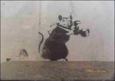 Qui est l'artiste de rue, auteur de ce pochoir intitul&eacute; ''Le Rat Paparazzi'' ?
