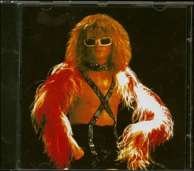 Quelle est cette fameuse chanson de Michel Polnareff ? 
"Si j'en crois à votre silence
Vos yeux pleins d'ennui
Nul espoir n'est permis
Pourtant, je veux jouer ma chance
Même si, même si je devais y brûler ma vie"