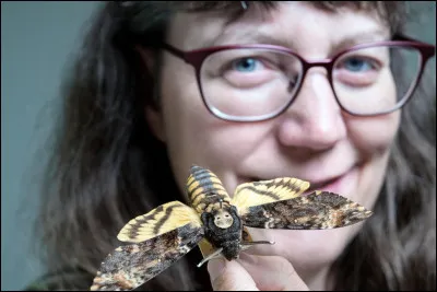 La science qui étudie les insectes est l'entomologie.