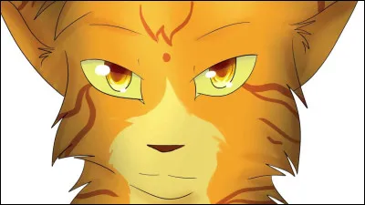 Combien d'enfants Étoile de Feu a-t-il eu ?