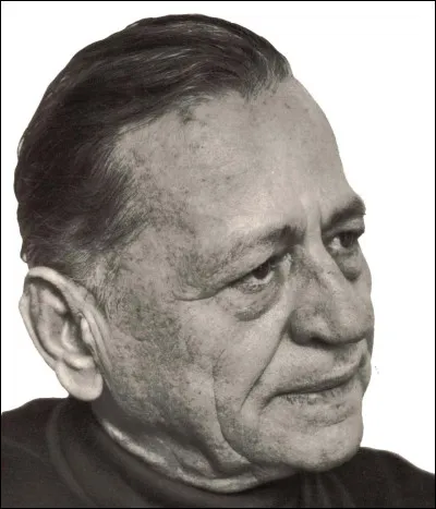 Qu'est-ce qu'un bois-vein&eacute; ?