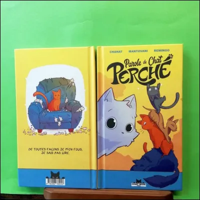 Veux-tu un test sur ''Parole de chat'' ?