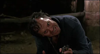 Comment s'appelle cette comédie dramatique avec Keaton ?