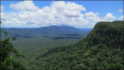 Quelle langue parle-t-on au Suriname ?