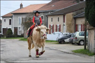 Sa maîtresse est...