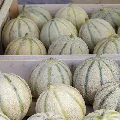 Quelle est cette commune du département du Vaucluse, célèbre pour ses productions de melons ?