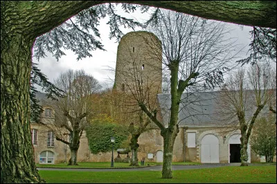 Quelle est cette commune du département de l'Indre-et-Loire, ancienne cité du cuir, connue pour son château fort datant de 1140 ?
