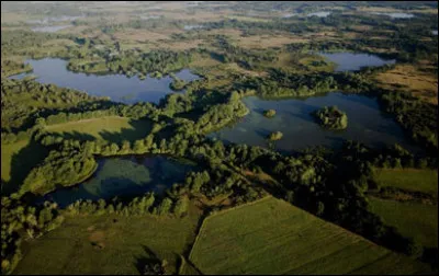 Quelle est cette région naturelle, située dans le sud-ouest du département, région humide avec plus de 2000 étangs ?
