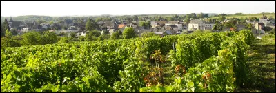 Quel est ce village situé dans le nord-est du département, connu pour son vignoble ?