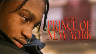 Qui tient le rôle principal dans le film "Un prince à New York" ?