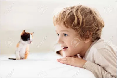 Tu pr&eacute;f&egrave;res :