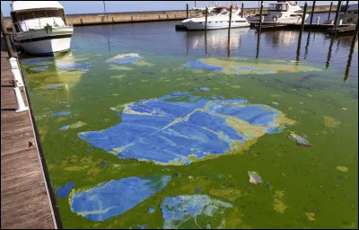 Tu pr&eacute;f&egrave;res :