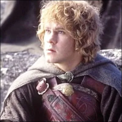 Dans la saga "Le Seigneur des Anneaux", quel est le nom de famille du Hobbit Merry ?