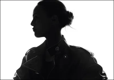 Quelle actrice/ chanteuse interprète le titre ''Joe le taxi'' en 1987 ?